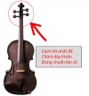 Cách chỉnh dây violin đúng chuẩn tần số