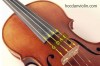 Học đàn Violin