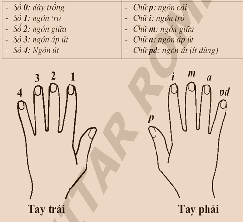Các ký hiệu ngón tay cho đàn Ukulele