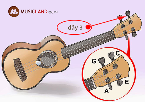 len day 3 dan ukulele musicland